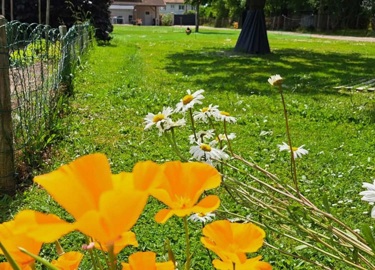 Bed & Breakfast Le Chemin Des Berands Chambres D'Hotes Renaison France