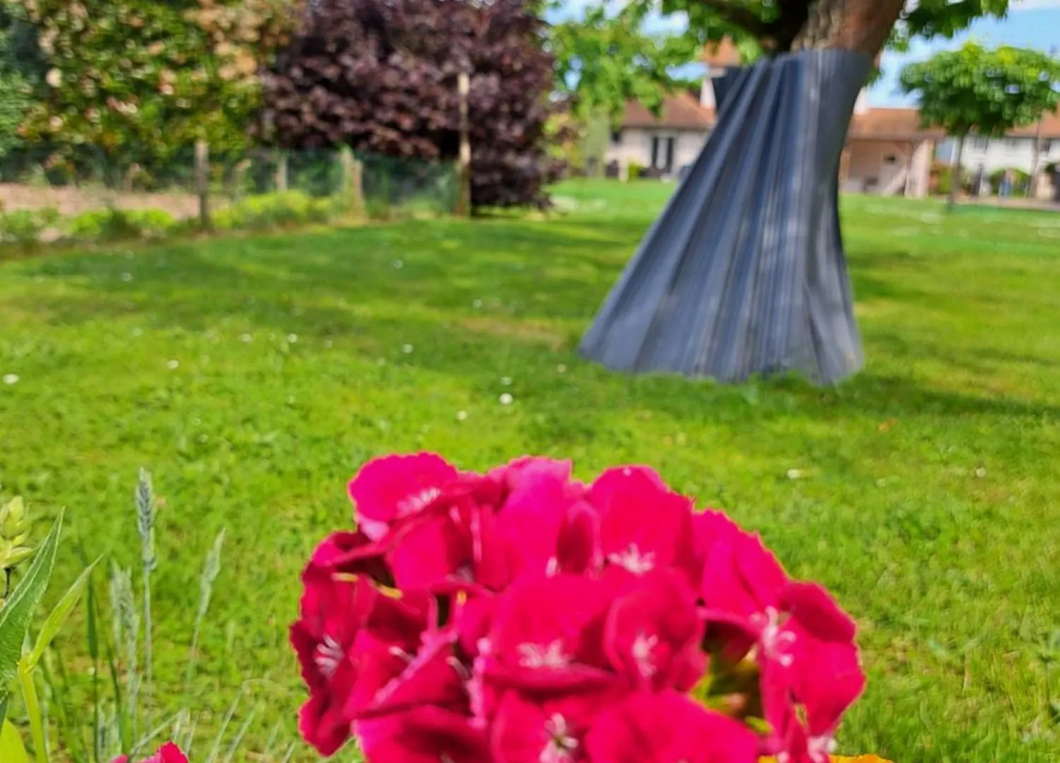 Bed & Breakfast Le Chemin Des Berands Chambres D'Hotes Renaison