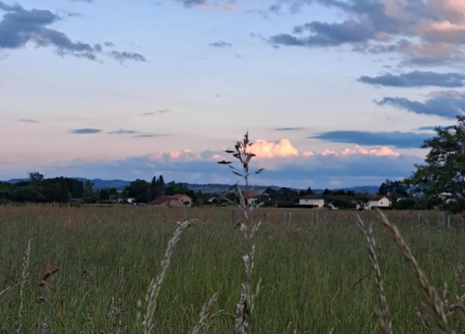 Le Chemin Des Berands Chambres D'Hotes Renaison Bed & Breakfast