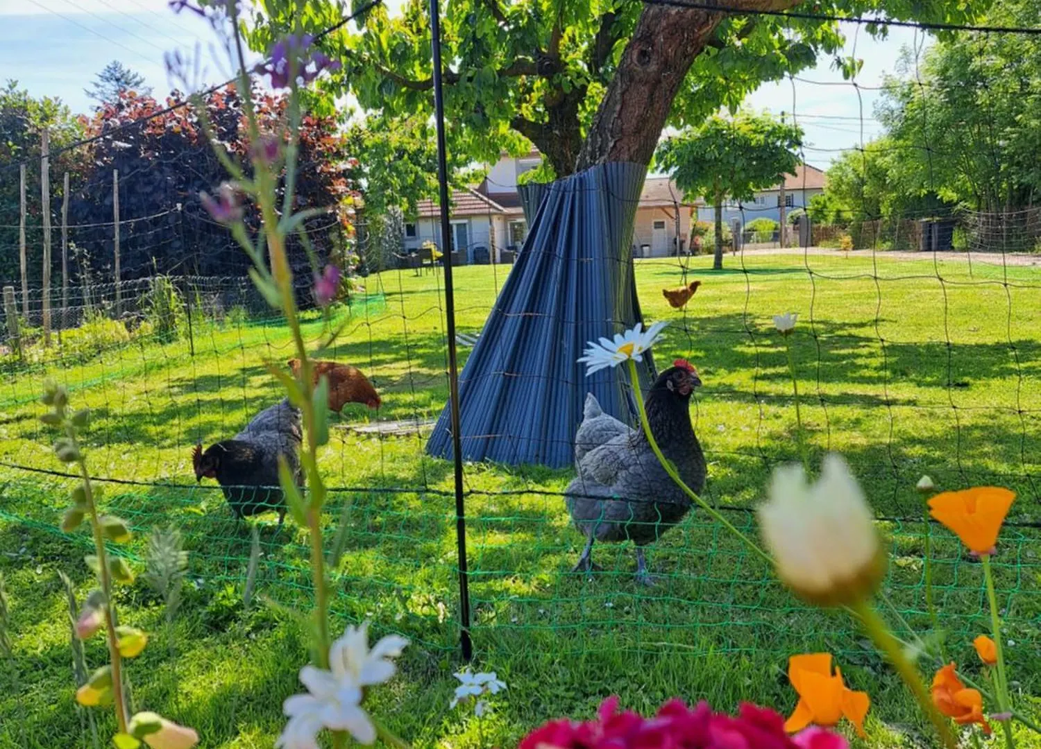 Bed & Breakfast Le Chemin Des Berands Chambres D'Hotes Renaison