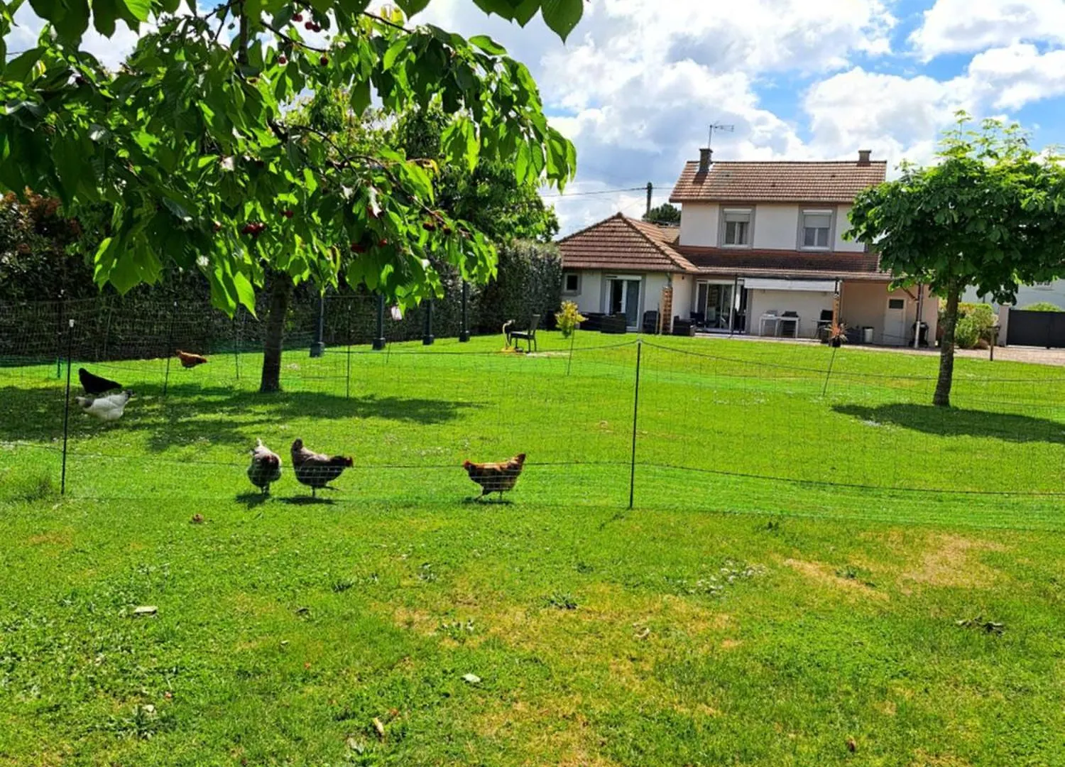 Le Chemin Des Berands Chambres D'Hotes Renaison Bed & Breakfast