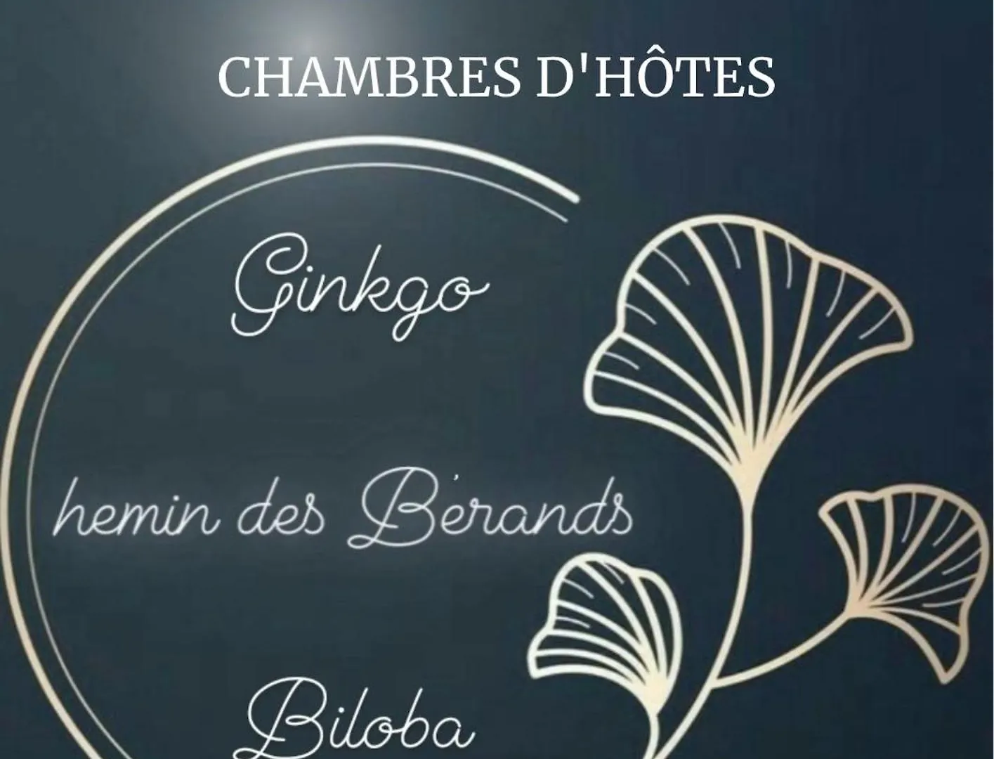 Le Chemin Des Berands Chambres D'Hotes Renaison France